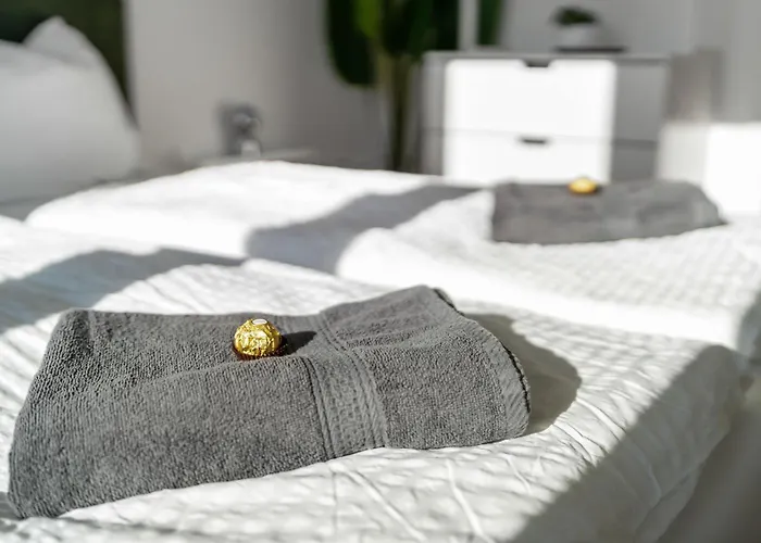 Exclusive Penthouse - Loft With Private Parking Overlooking Cathedral * 科隆